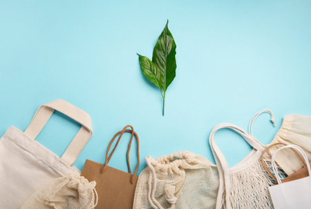 International plastic bag free day concept. Sustainable and Ecology lifestyle. Say no to plastic. go green. save nature. Reusable and recycling paper, textile cotton bags, mesh bags on blue backgroundの写真素材