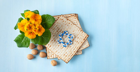 Passover holiday card with matzah, walnuts, yellow spring flowers on light blue background, gold and...