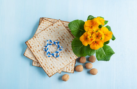 Passover holiday card with matzah, walnuts, yellow spring flowers on light blue background, gold and...