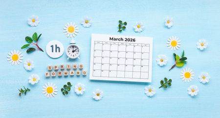 Daylight saving Time, Spring forward, Summer back concept. White Alarm Clock and Spring Daisy Flowers on Blue Backgroundの写真素材