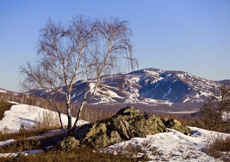 Early spring at South Uralsの写真素材