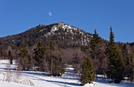 Winter landscape with moonの写真素材