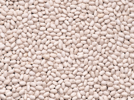 white beans macro plan