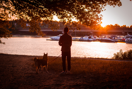 the guy walking his dog at sunsetの写真素材