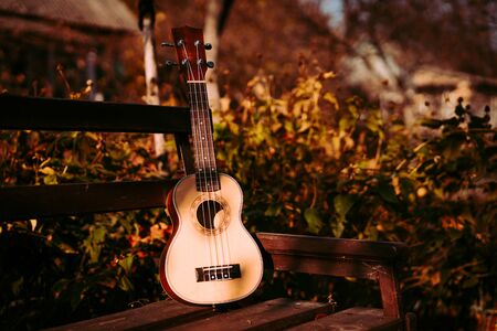 vintage ukulele on a bench in a park