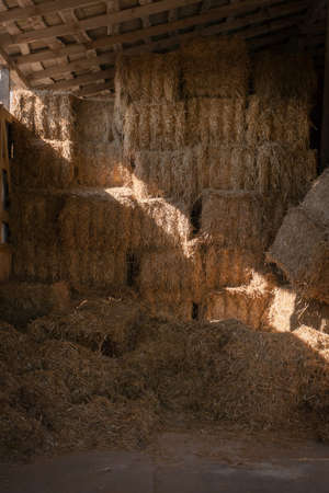 haystacks in a barn. close-up. golden. Springの写真素材