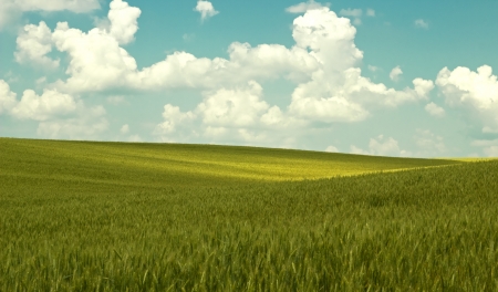 new idyllic view of summer lawn with cloudy sky