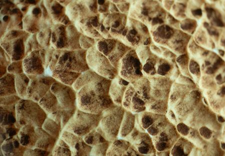 macro pattern of rough ceramics (pottery) of vintage potの写真素材