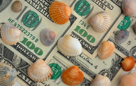 How mach is the summer travel? Close-up of 100 dollar bill and shells of different colorsの写真素材