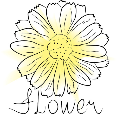 sketch of flower with watercolor blot in center and word  のイラスト素材