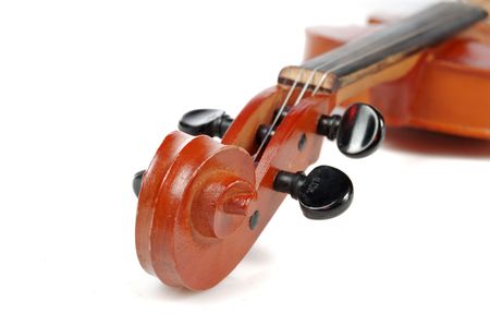pins of violin isolated on whiteの写真素材