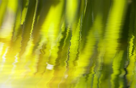 Fresh green grass (shallow DoF)の写真素材