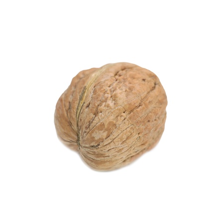 walnutの写真素材