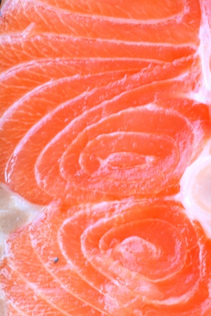 fresh salmom  -  red fish macro