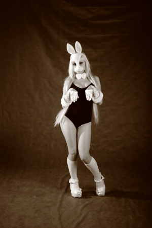 A bunny dressed girl  studio shooting on gray backgroundの写真素材