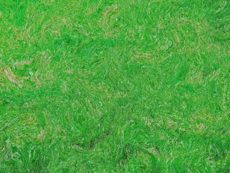 Colorful Abstract Background greenの写真素材