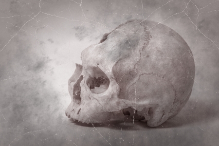 Old photo Side view of human skull. single skull . Human skull on a white background.の写真素材