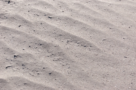 The sand  background - sand closeup as texture