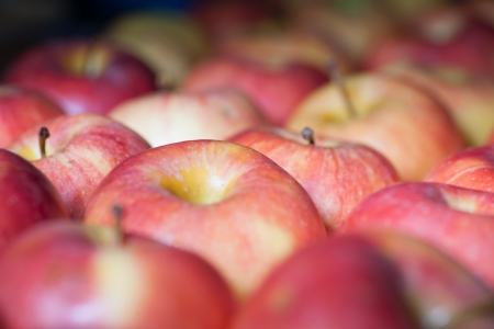 Angle view apples on open air market Red ripe appleの写真素材