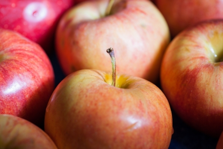 Many fresh natural organic apples candid shot. fresh apple - abstract natural background