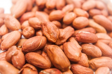 peanuts macro closeup