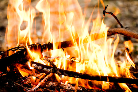 Fire outdoors image