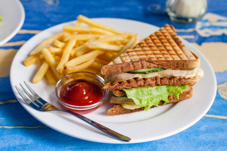 Sandwich on plate and friedの写真素材