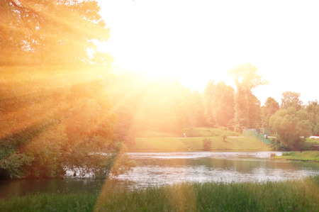Summer sun over the pond. Sunset in the fieldsの写真素材