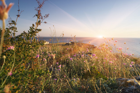 Sunset. Sea of Azov desert coast Crimean peninsulaの写真素材