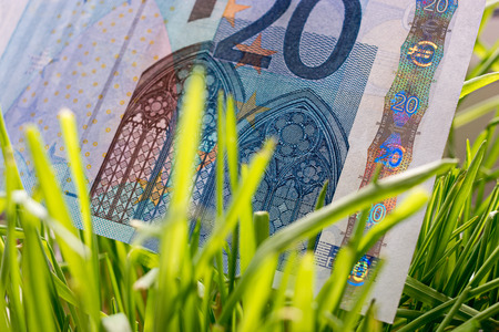 20 euro bill growing in the green grass, financial growth concept.の写真素材