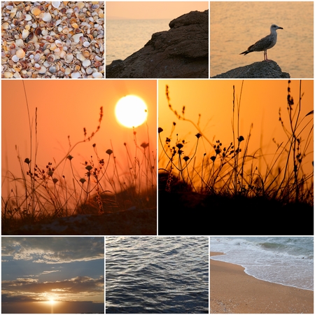 Seagull stands on a coastal stone in a sea sunset light. Beautiful seascape. Amazing sunset light. The gull and the wonderful sunset water surface. Tide. Collage of photos.の写真素材