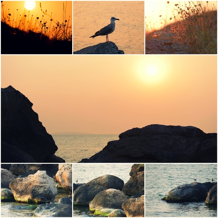 Seagull by the sea, sea surface at sunset, stones on the coast Collage of photos with copyspace on sunset sky in center, postcard template.の写真素材