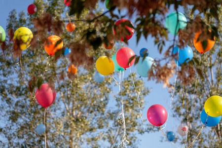 Colorful Balloons In Tree Branches Flying Away In Blue Sky Toned Imageの写真素材