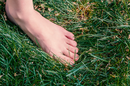 Carefree And Health Concept. Female Bare Feet In Grassの写真素材
