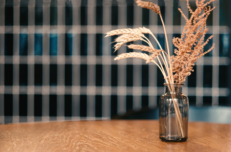 Dry plant and spiklets in glass jar decorate on wooden table in cafe in front of tiled wall, vintage coffee shop decoration ideaの写真素材