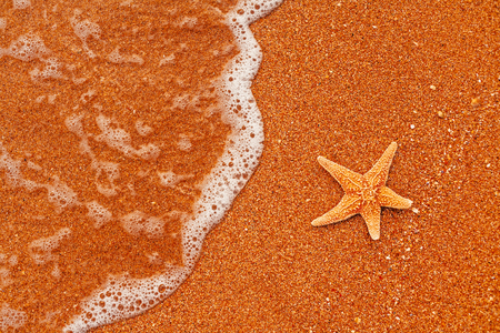 Seastar resting on coarse sand like tourist in resort, copyspaceの写真素材