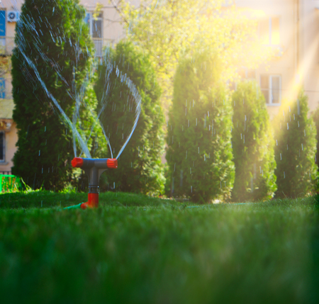 Garden sprinkler working in ront of trees in row backlitの写真素材