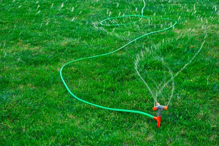 Garden sprinkler connected to long green hose pipe watering lush grassの写真素材