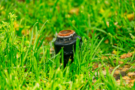 Small automatic irrigation system sprinkler head hides in the grassの写真素材