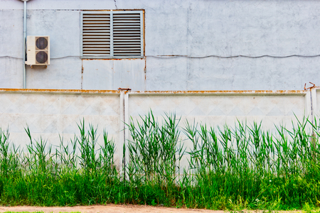Industrial buiding behind concrete wall with reed grows in front ofの写真素材