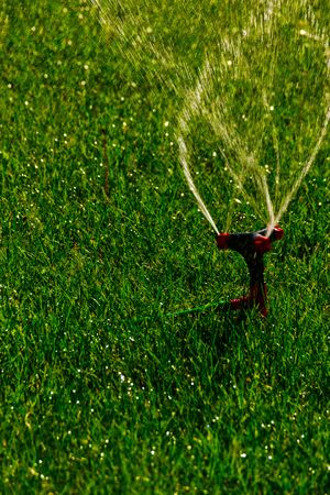 Lawn sprinkler with a lot of copy-spaceの写真素材