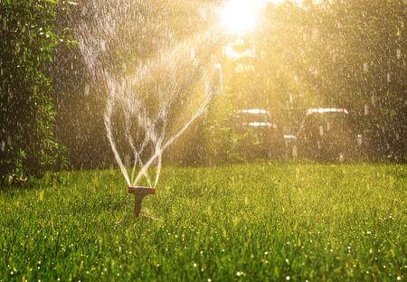 Lawn sprinkler with a lot of copy-space and sun shining from back sideの写真素材