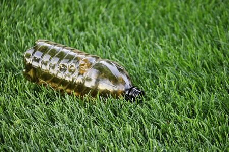 Plastic bottle in green grass. Environmental pollution by plastic. Earth Protection Day Image. Plastic litter lying over the green lawn shot with copyspaceの写真素材