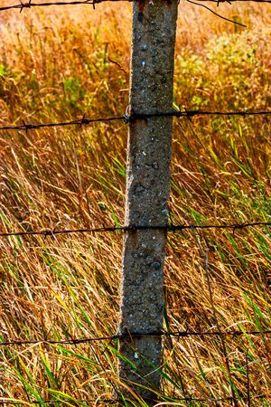 Rural fence of barbed wire on a hot summers day closeup vertical shot