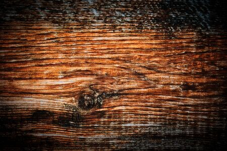 Weathered pice of wood, it is a driftwood found on the beach, framework with harsh vignetteの写真素材