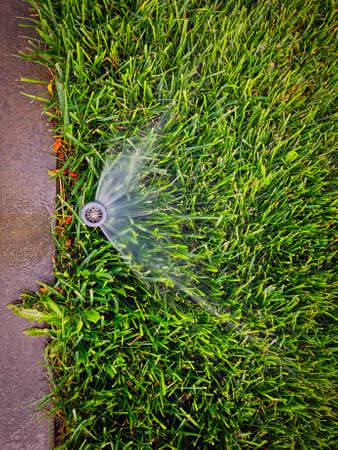 Automatic watering system on the backyard lawn watering the grass, view from aboveの写真素材