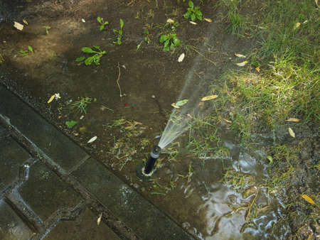 Top view of watering system with puddle about on the ground with sparce grass