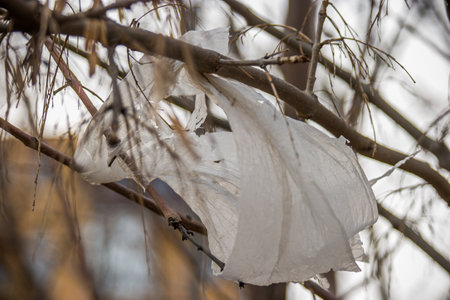 Plastic packet is hanging on the bare tree branches. Litter concept. Garbage needs recycling.の写真素材
