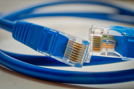 Two network RJ45 plugs of blue colour macro. Blue RJ45 CAT6 shielded network data internet cable in coils and connectors on gray background shallow DOF.の写真素材
