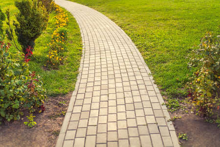 The stone path in the garden with copyspace.